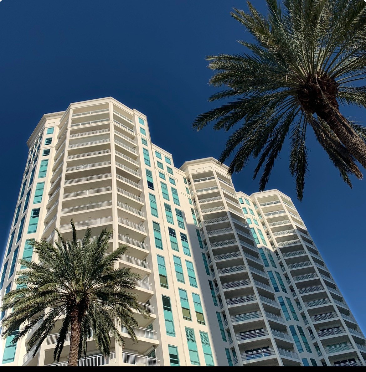 Cover of Florida Condo Buying Guide
